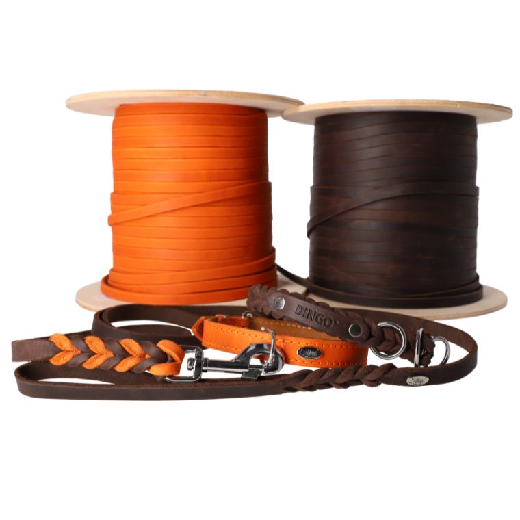DINGO European Braided Leather Walk Collection